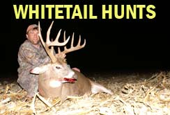 Big Wisconsin whitetail John Yost did the outdoor videography for.