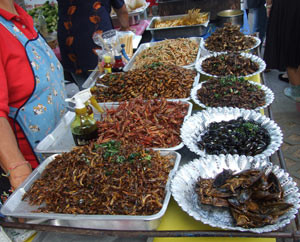 Edible insects at a market in Southeast Asia.