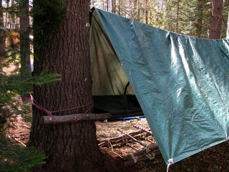 Tarp shelter and elevated bed setup as a survival shelter.