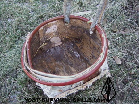 rims of a birch bark basket pinned on and ready to be sewn