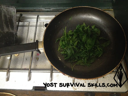 Frying stinging nettles after steaming them is a great way to eat nettles.